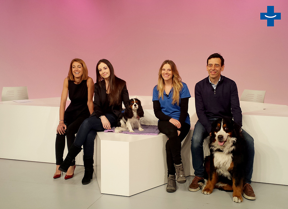 La Rotonda (ATV): Gossos de teràpia, animals generosos al servei de qui més els necessita